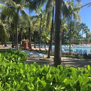 Meet your Posher, Marvin